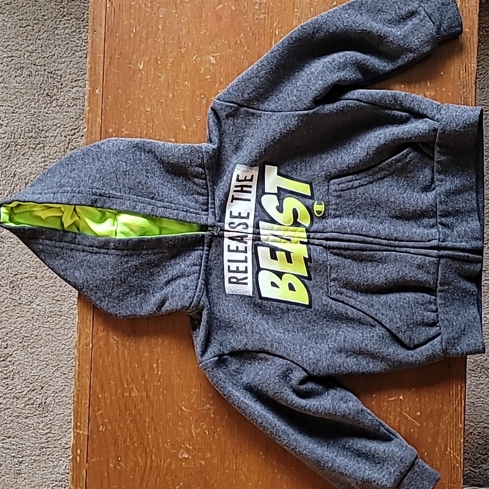 Toddlers Champion Gray Sweatshirt